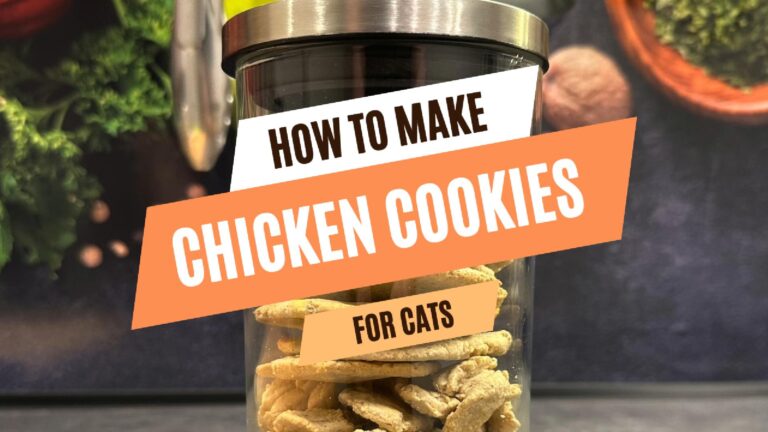 DIY chicken cookies for cats