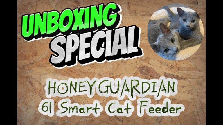 Unboxing Special: Honeyguardian 6l Smart Cat Feeder